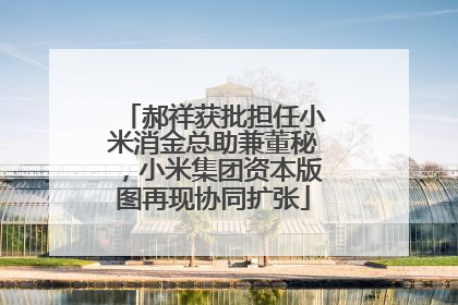 郝祥获批担任小米消金总助兼董秘，小米集团资本版图再现协同扩张