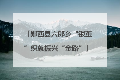 郧西县六郎乡“银茧”织就振兴“金路”
