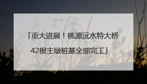 重大进展！桃源沅水特大桥42根主墩桩基全部完工