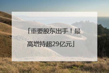 重要股东出手！最高增持超29亿元