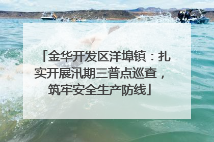 金华开发区洋埠镇：扎实开展汛期三普点巡查，筑牢安全生产防线