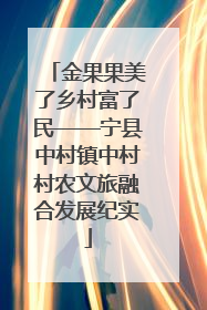 金果果美了乡村富了民——宁县中村镇中村村农文旅融合发展纪实
