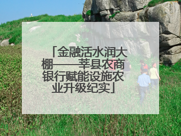 金融活水润大棚——莘县农商银行赋能设施农业升级纪实