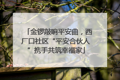 金锣敲响平安曲，西厂口社区“平安合伙人”携手共筑幸福家