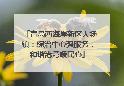 青岛西海岸新区大场镇：综治中心强服务，和谐港湾暖民心