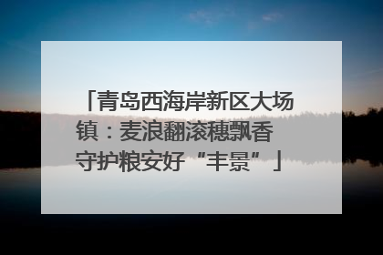 青岛西海岸新区大场镇：麦浪翻滚穗飘香 守护粮安好“丰景”