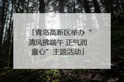 青岛高新区举办“清风拂端午 正气润童心”主题活动