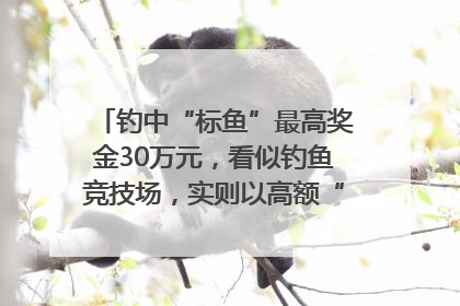 钓中“标鱼”最高奖金30万元，看似钓鱼竞技场，实则以高额“回报”作“饵”……｜今晚九点半