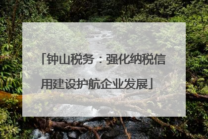 钟山税务：强化纳税信用建设护航企业发展