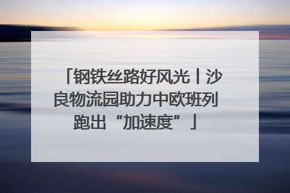 钢铁丝路好风光丨沙良物流园助力中欧班列跑出“加速度”