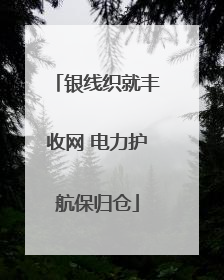 银线织就丰收网 电力护航保归仓