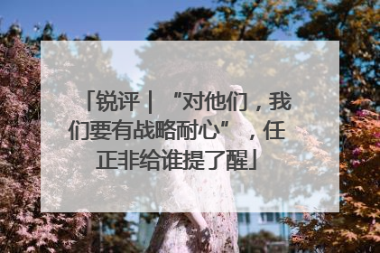 锐评｜“对他们，我们要有战略耐心”，任正非给谁提了醒