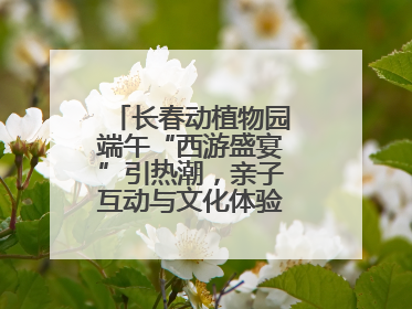 长春动植物园端午“西游盛宴”引热潮，亲子互动与文化体验点燃节日氛围