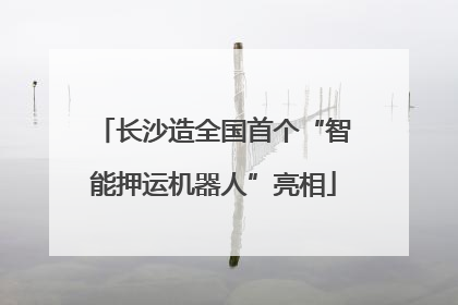 长沙造全国首个“智能押运机器人”亮相