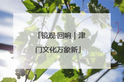 镜观·回响｜津门文化万象新