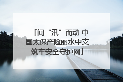 闻“汛”而动 中国太保产险丽水中支筑牢安全守护网