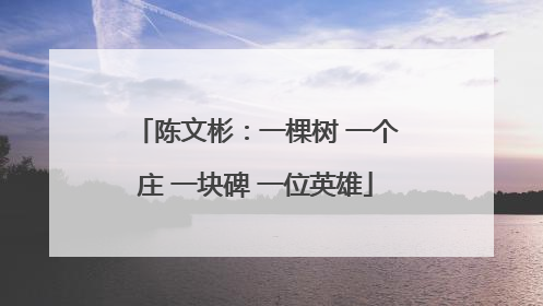 陈文彬：一棵树 一个庄 一块碑 一位英雄