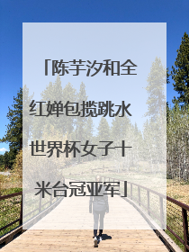 陈芋汐和全红婵包揽跳水世界杯女子十米台冠亚军