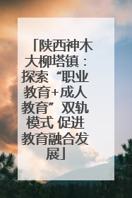 陕西神木大柳塔镇：探索“职业教育+成人教育”双轨模式 促进教育融合发展