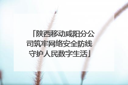 陕西移动咸阳分公司筑牢网络安全防线守护人民数字生活