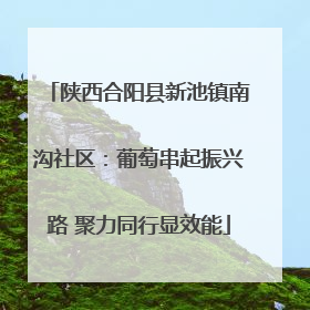 陕西合阳县新池镇南沟社区：葡萄串起振兴路 聚力同行显效能