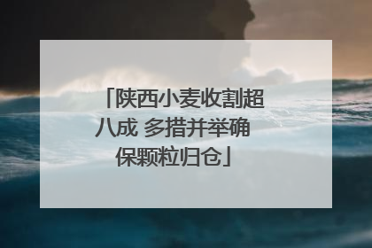 陕西小麦收割超八成 多措并举确保颗粒归仓