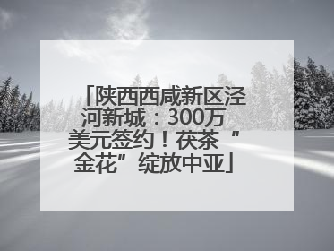 陕西西咸新区泾河新城：300万美元签约！茯茶“金花”绽放中亚