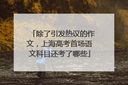 除了引发热议的作文，上海高考首场语文科目还考了哪些