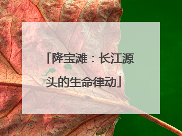 隆宝滩：长江源头的生命律动