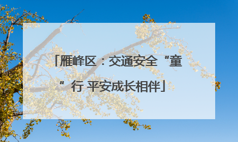 雁峰区：交通安全“童”行 平安成长相伴
