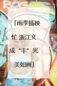 雨季插秧忙 浙江文成“丰”光美如画