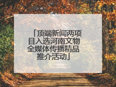 顶端新闻两项目入选河南文物全媒体传播精品推介活动
