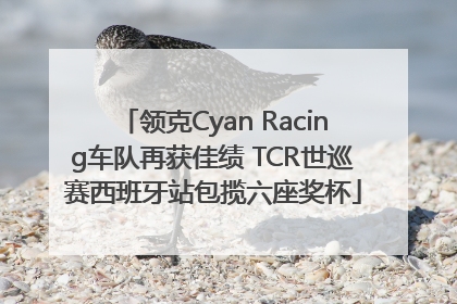 领克Cyan Racing车队再获佳绩 TCR世巡赛西班牙站包揽六座奖杯