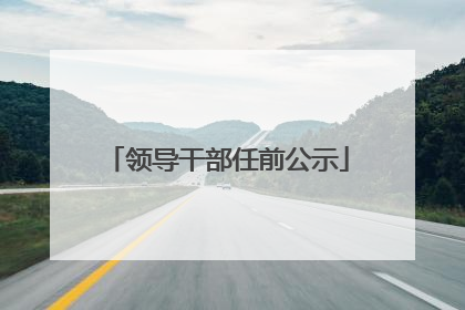 领导干部任前公示