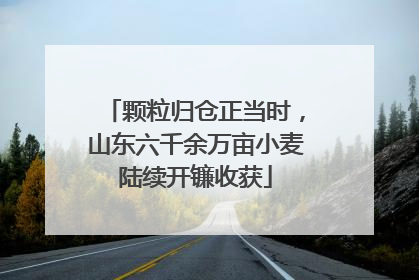 颗粒归仓正当时，山东六千余万亩小麦陆续开镰收获