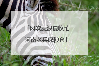 风吹麦浪夏收忙 河南老兵保粮仓