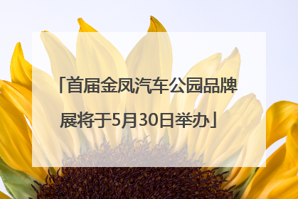 首届金凤汽车公园品牌展将于5月30日举办