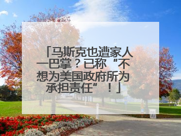 马斯克也遭家人一巴掌？已称“不想为美国政府所为承担责任”！