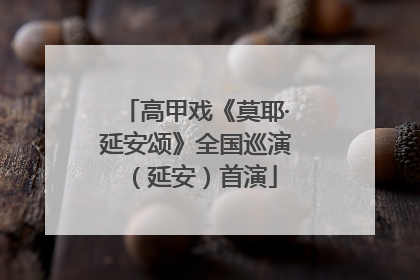 高甲戏《莫耶·延安颂》全国巡演（延安）首演
