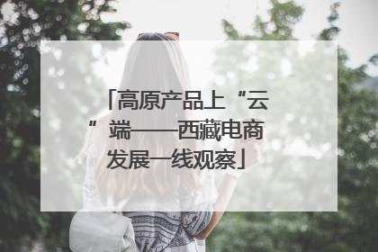 高原产品上“云”端——西藏电商发展一线观察