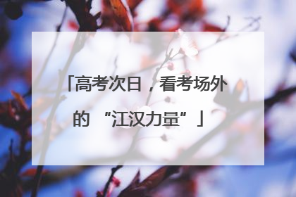 高考次日，看考场外的 “江汉力量”