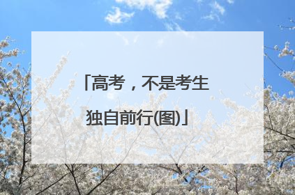 高考，不是考生独自前行(图)