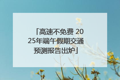 高速不免费 2025年端午假期交通预测报告出炉