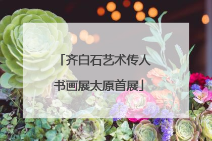 齐白石艺术传人书画展太原首展