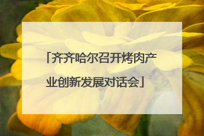 齐齐哈尔召开烤肉产业创新发展对话会