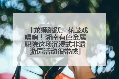 龙狮跳跃、花鼓戏唱响！湖南有色金属职院这场沉浸式非遗游园活动很带感