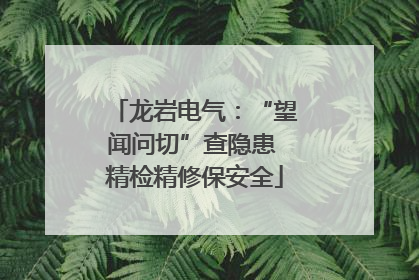 龙岩电气：“望闻问切”查隐患 精检精修保安全