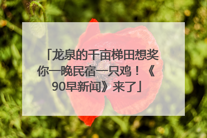 龙泉的千亩梯田想奖你一晚民宿一只鸡！《90早新闻》来了