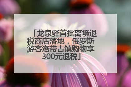 龙泉驿首批离境退税商店落地，俄罗斯游客洛带古镇购物享300元退税