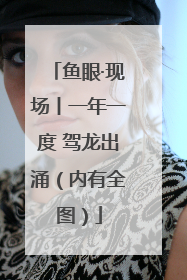 鱼眼·现场丨一年一度 驾龙出涌（内有全图）